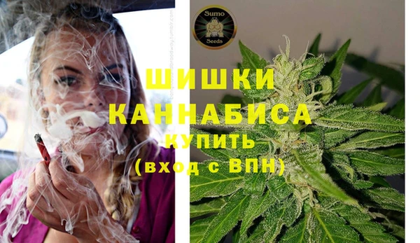 ПСИЛОЦИБИНОВЫЕ ГРИБЫ Алексин