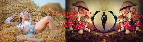 прущая мука Алзамай