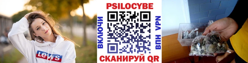 Псилоцибиновые грибы мухоморы  Болгар 